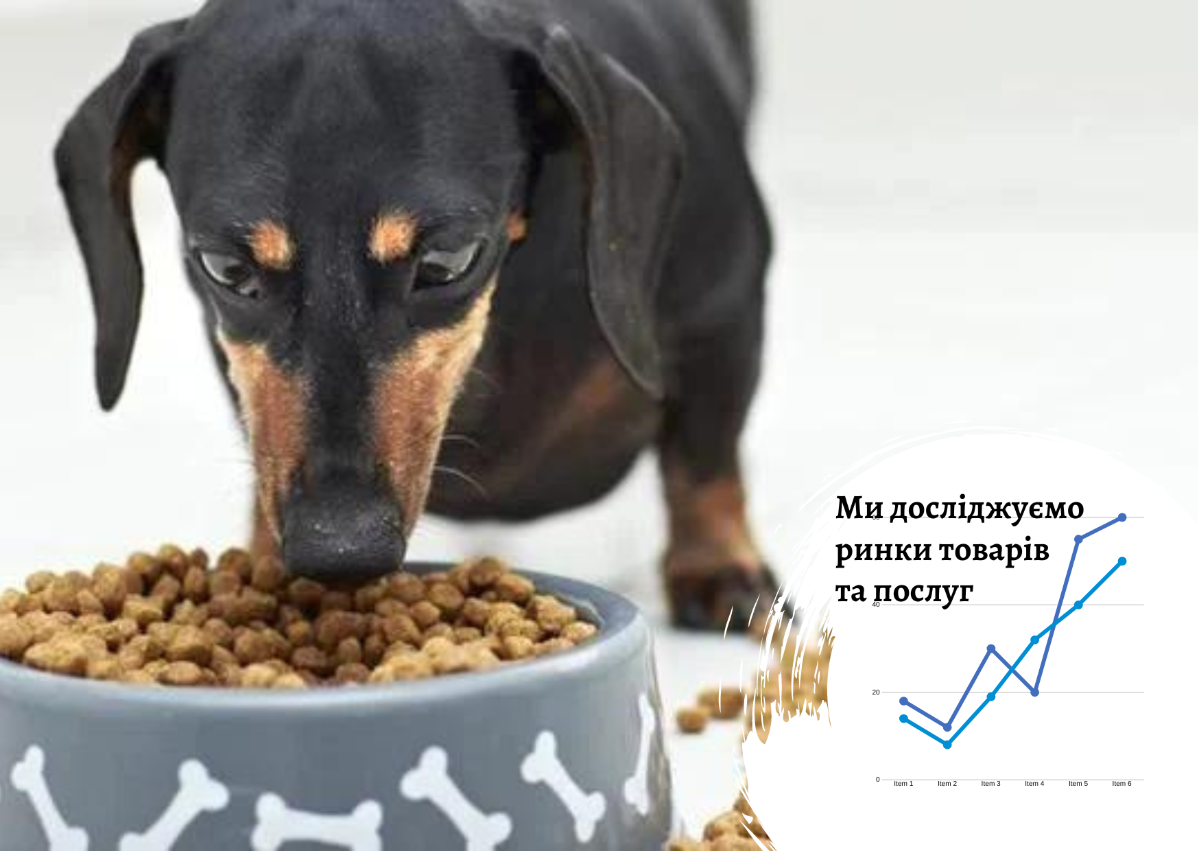 Ukrainian dog food market: analytical report